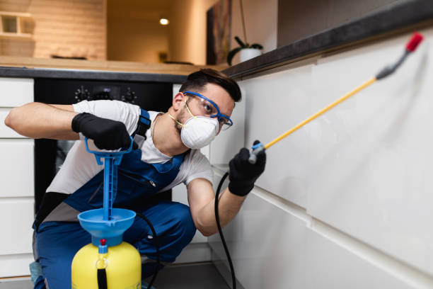 Best Cockroach Control Services  in Sleepy Hollow, NY