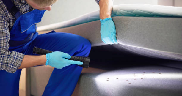 Best Ant Control Services  in Sleepy Hollow, NY