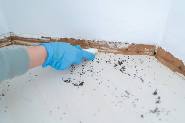 Pest Control for Restaurants in Sleepy Hollow, NY
